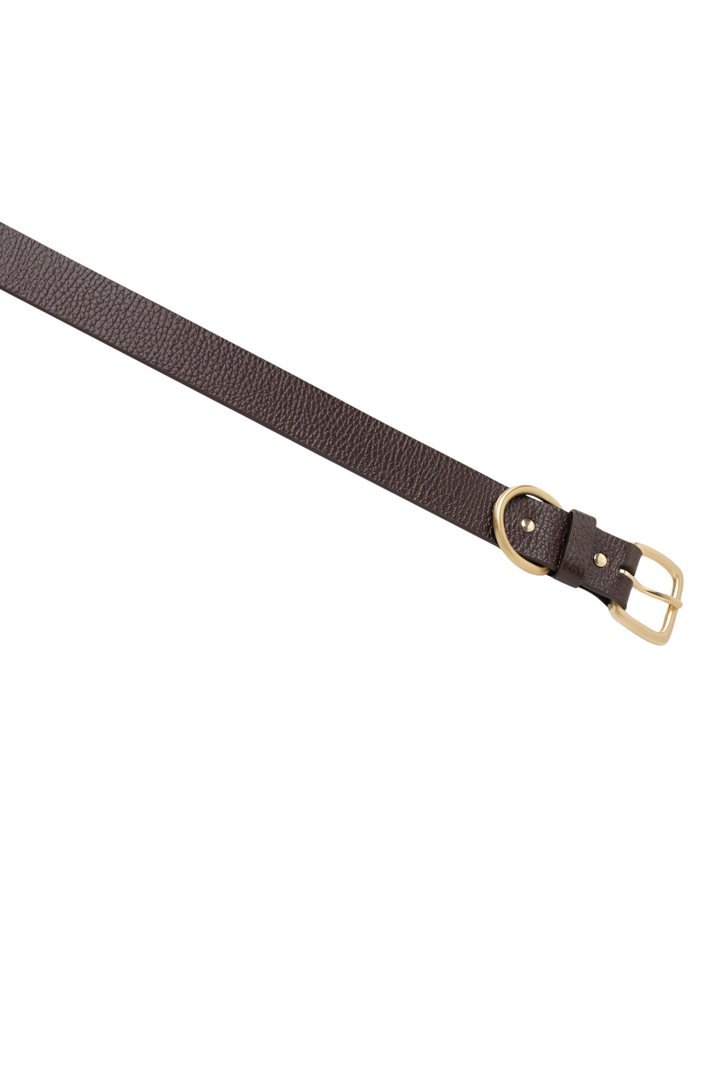 Disarm Belt Choc Gold