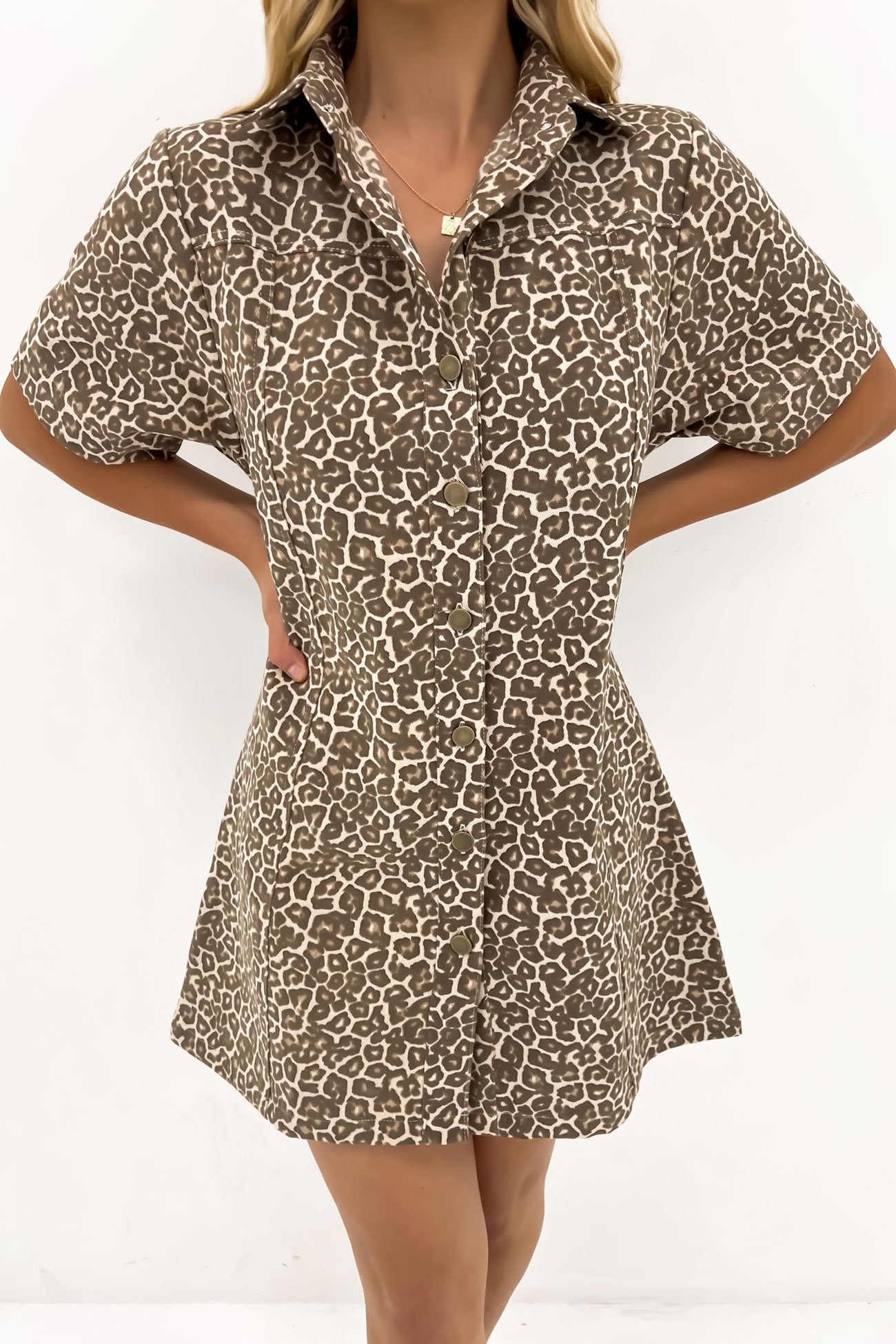 Hallie Dress Hazel Leopard