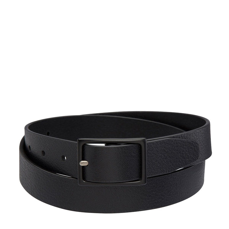 Assertion Belt Black