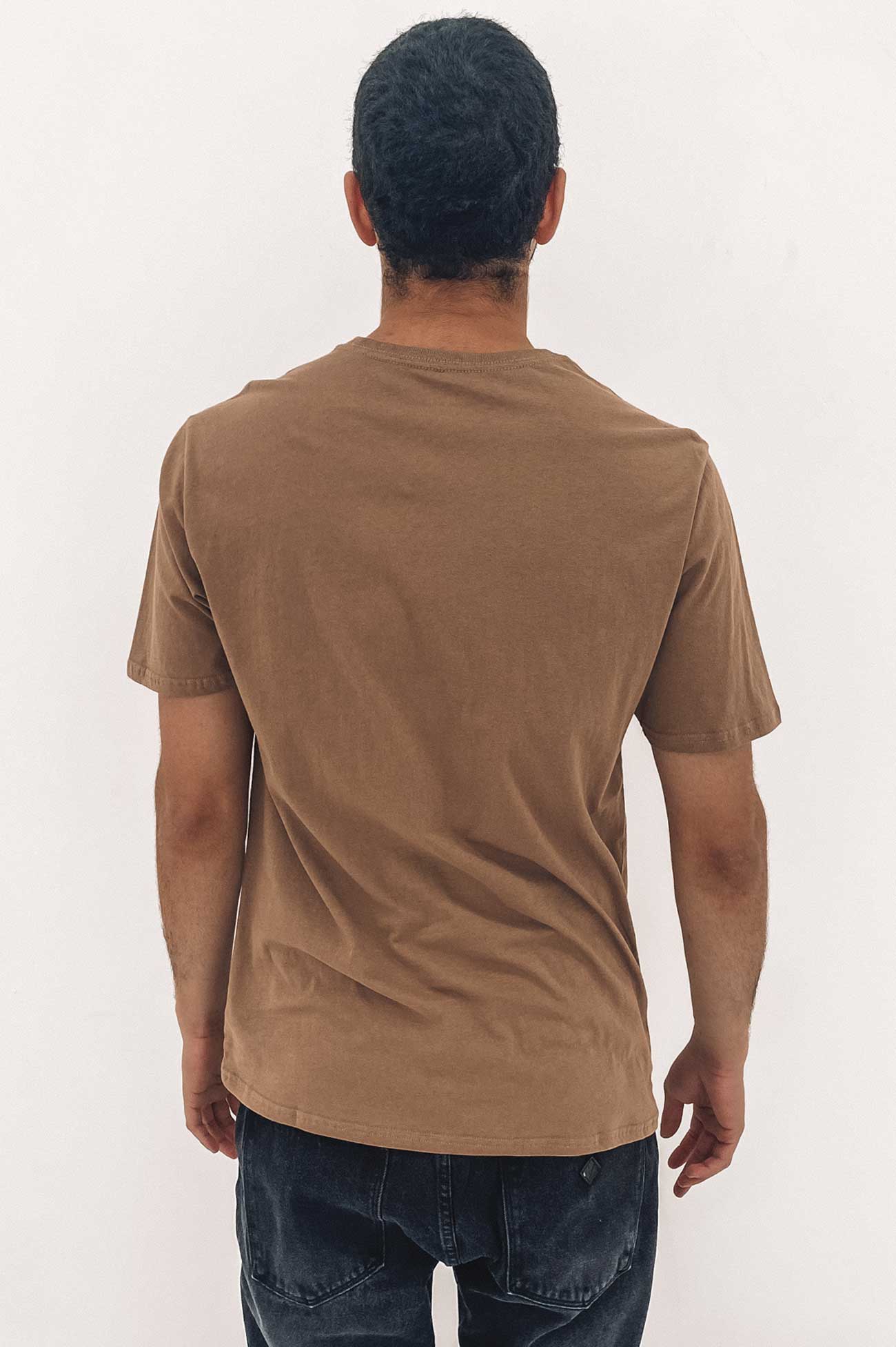 Everyday Washed Fastlane Tee Taupe Haze