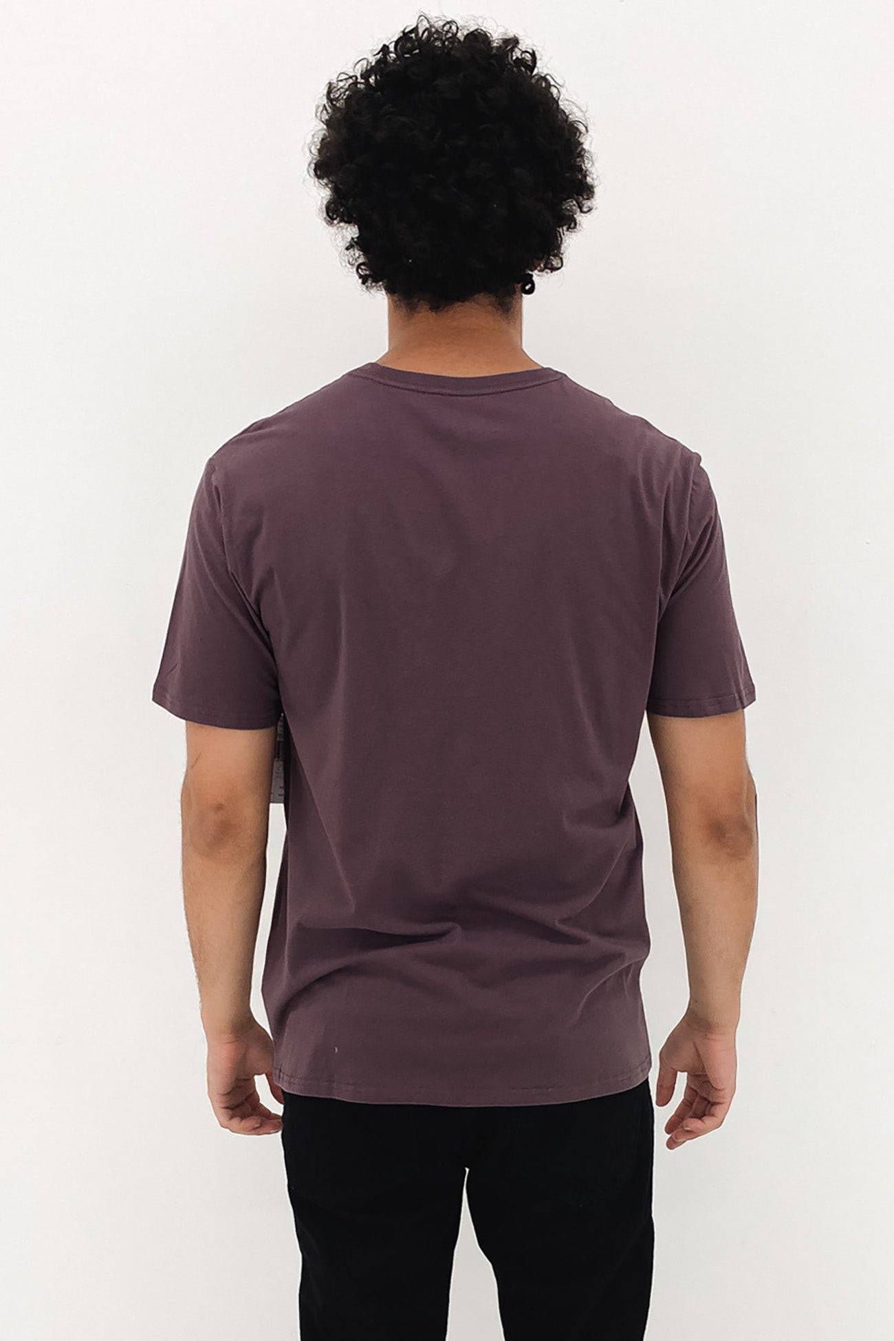 Everyday Washed One And Only Solid Tee Grape