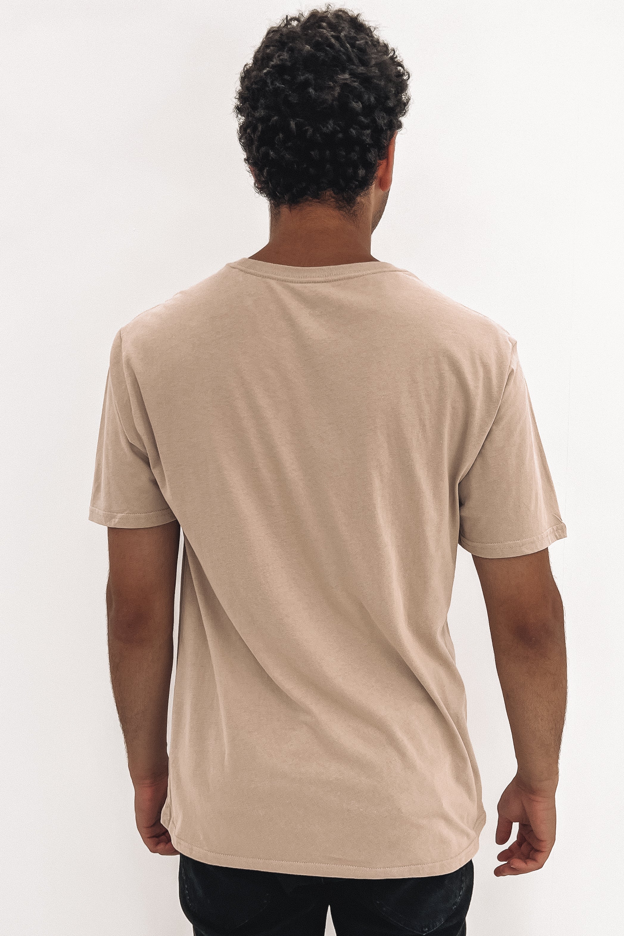 Everyday Washed Fastlane Tee Simply Taupe