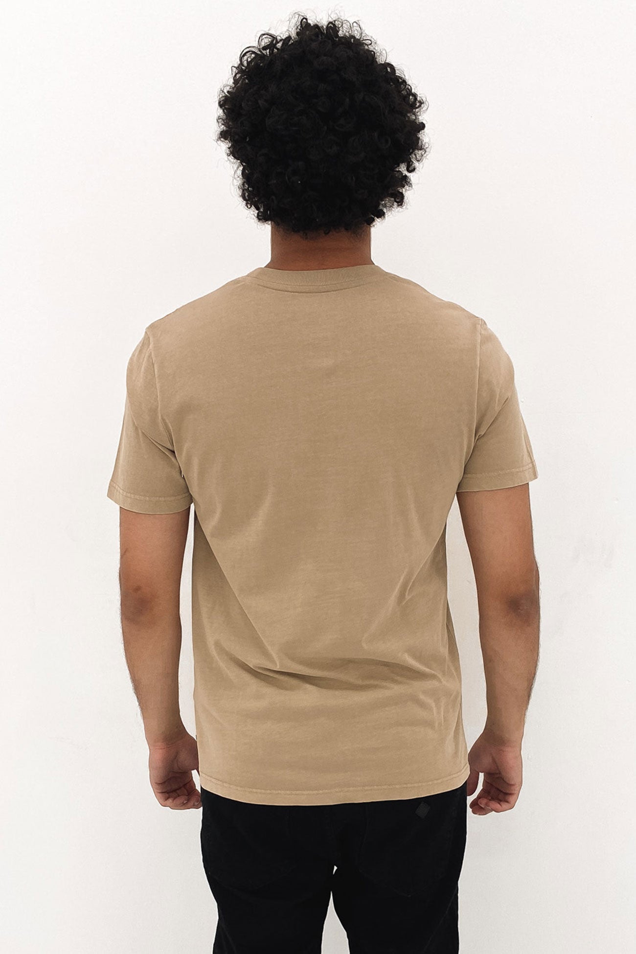 RVCA Mini Flipped Short Sleeve Tee Khaki