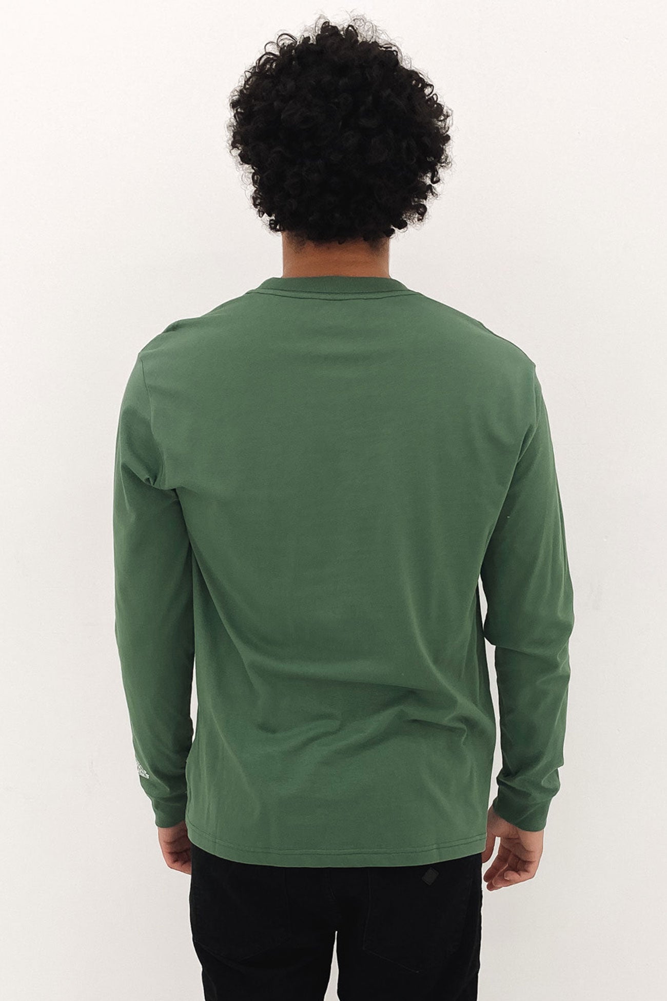 RVCA Streets Long Sleeve Tee Tree Green